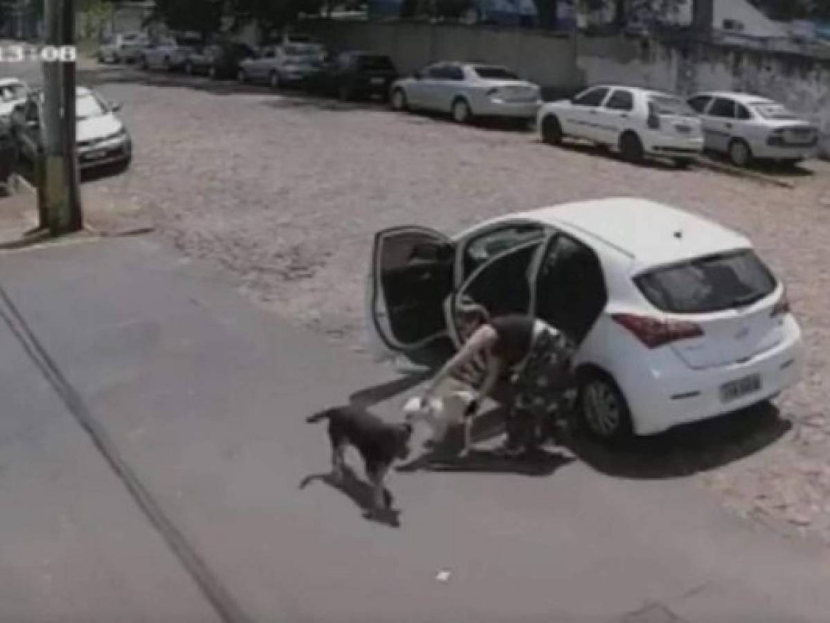 ¡Desgarrador! Mujer maltrata y abandona a perrito discapacitado en plena calle