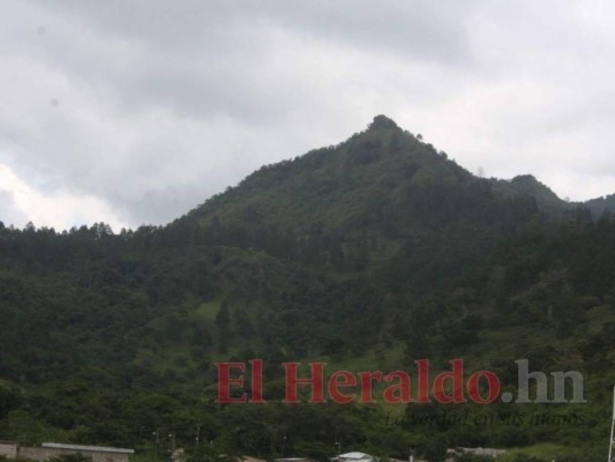 La Piedra de Apagüiz, en Danlí, es un área protegida de 16,186 hectáreas de extensión. Abastece de agua a 46 comunidades. Foto: El Heraldo