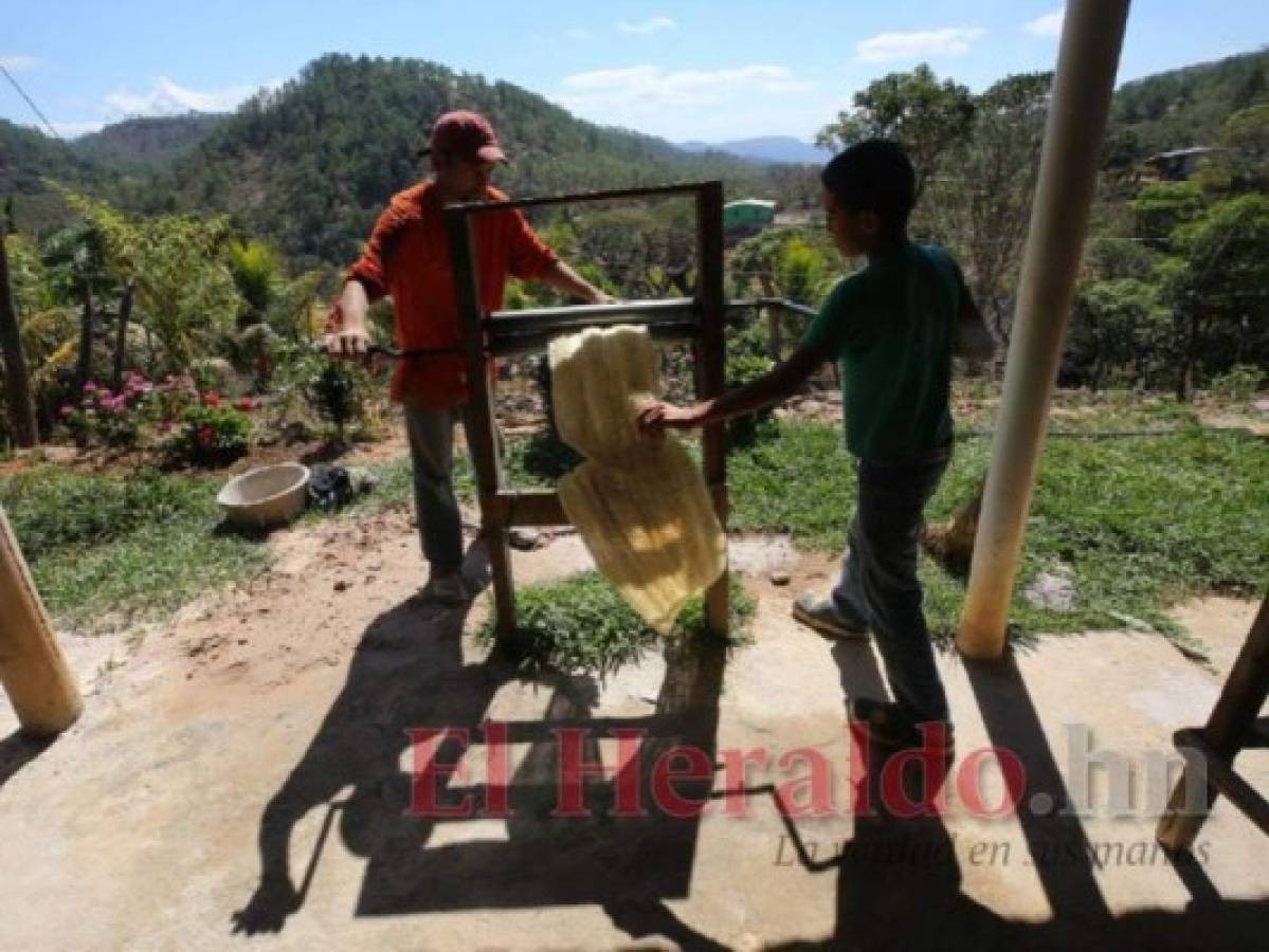 La gente se activa en la actividad; este es el planchador que se inventaron. Foto: Jhony Magallanes/El Heraldo