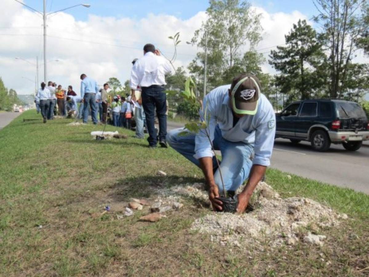 Se detiene plan de recuperación del entorno ecológico de Siguatepeque