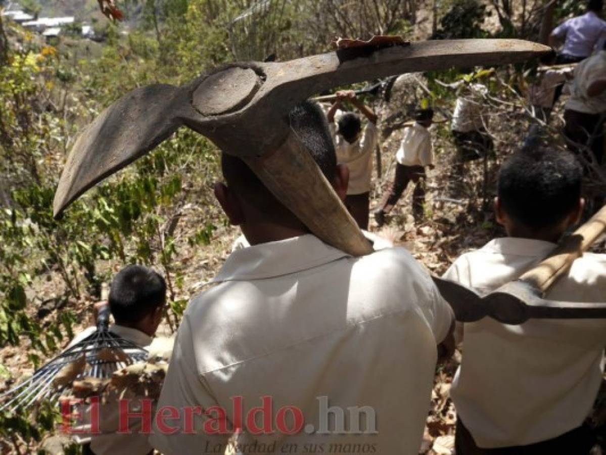 La Escuela Virgen de Suyapa funciona desde el 2010 y es un proyecto impulsado por Acoes. Foto: Johny Magallanes / EL HERALDO.