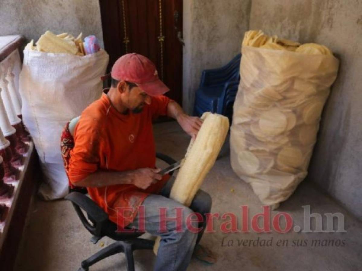 Henry Zúniga y su cuchillo van a sacarle la vena a la tusa. Foto: Jhony Magallanes/El Heraldo