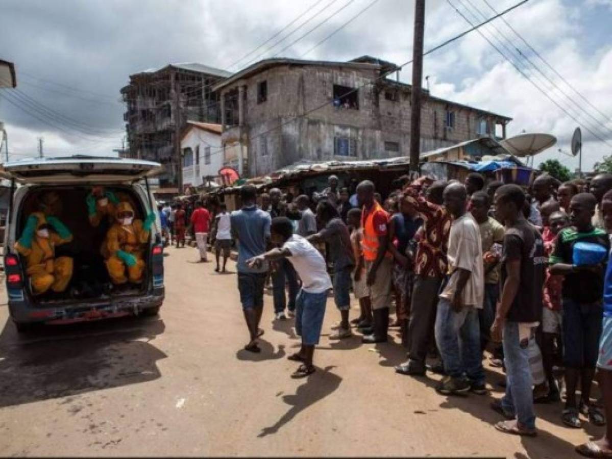 Un cargamento de pollos putrefactos de Brasil desata incidentes en Sierra Leona