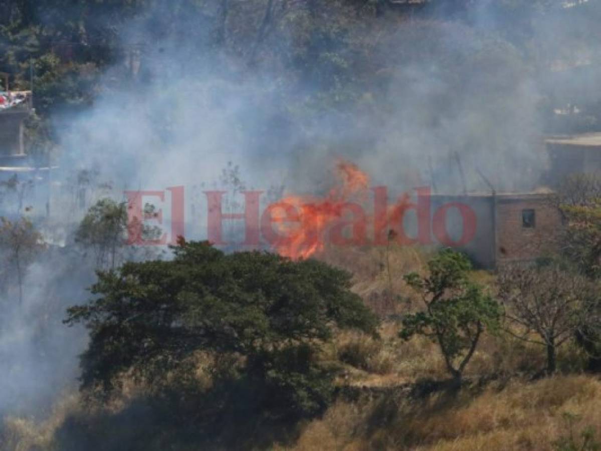 Voraz incendio de zacatera amenaza a varias viviendas en El Hatillo, en la capital de Honduras