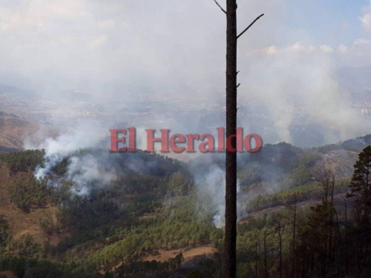 No cesa incendio en El Hatillo; llamas ya consumieron unas 180 hectáreas