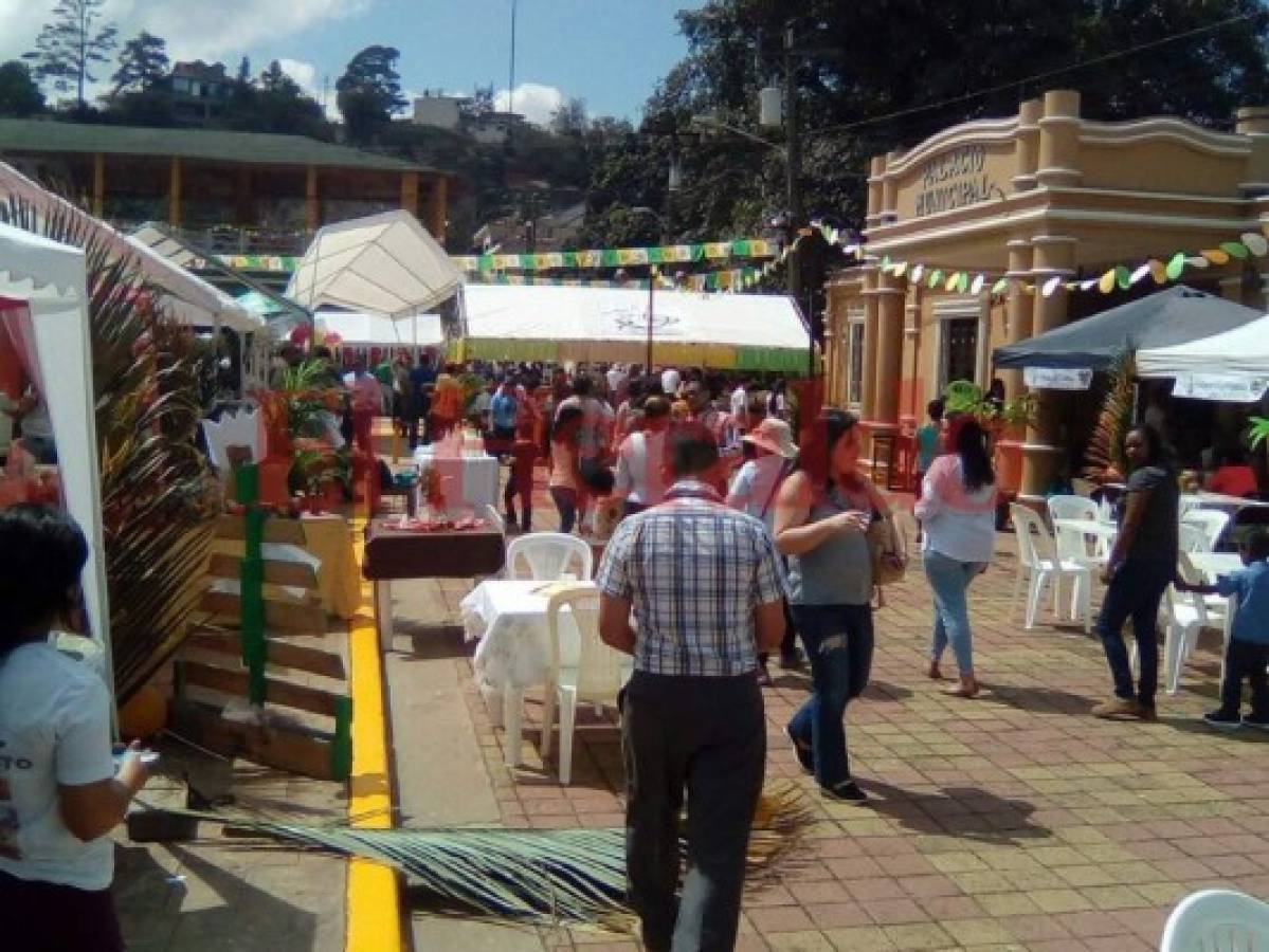 Olanchanos disfrutan al máximo el II Festival de Vino de Coyol