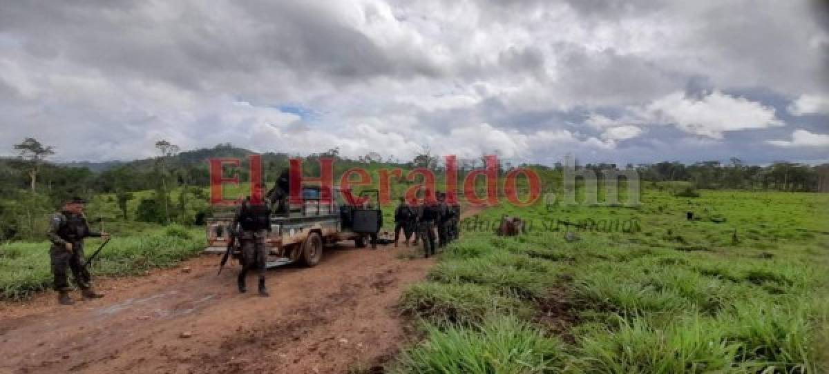 Acciones emprendidas para frenar construcción de carretera en pleno corazón de Biósfera del Río Plátano (FOTOS)