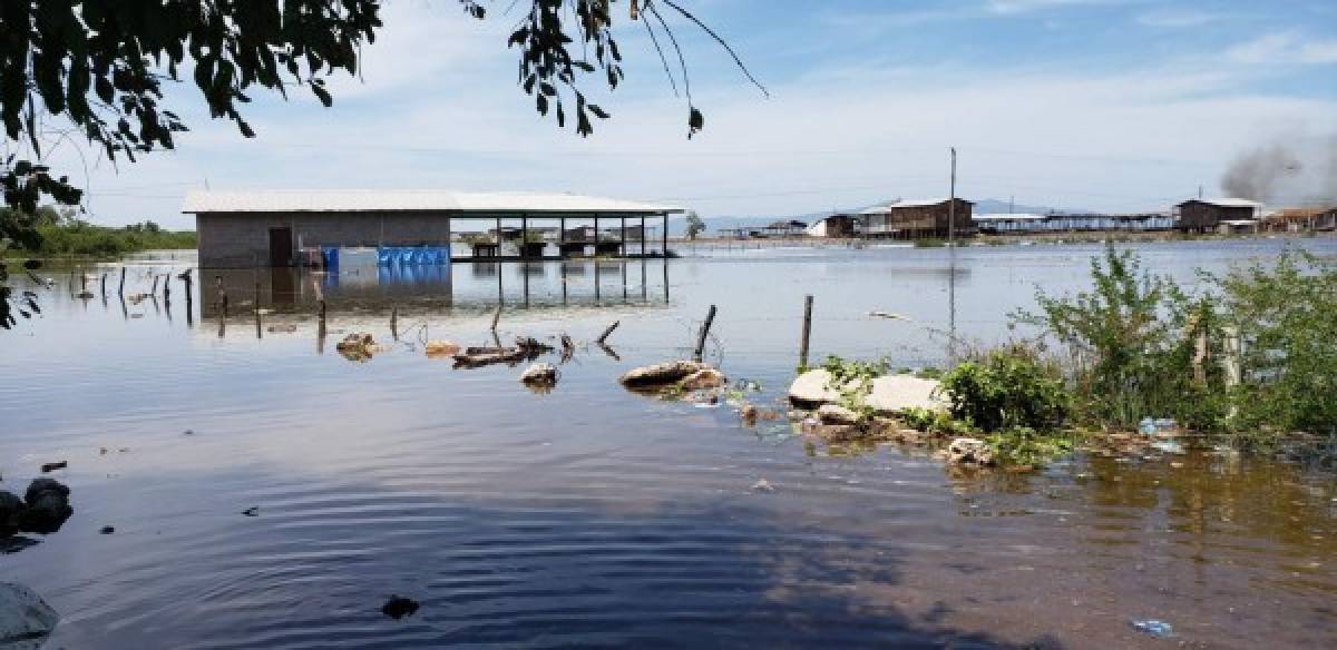 Familias afectadas por marejadas reciben alimentos