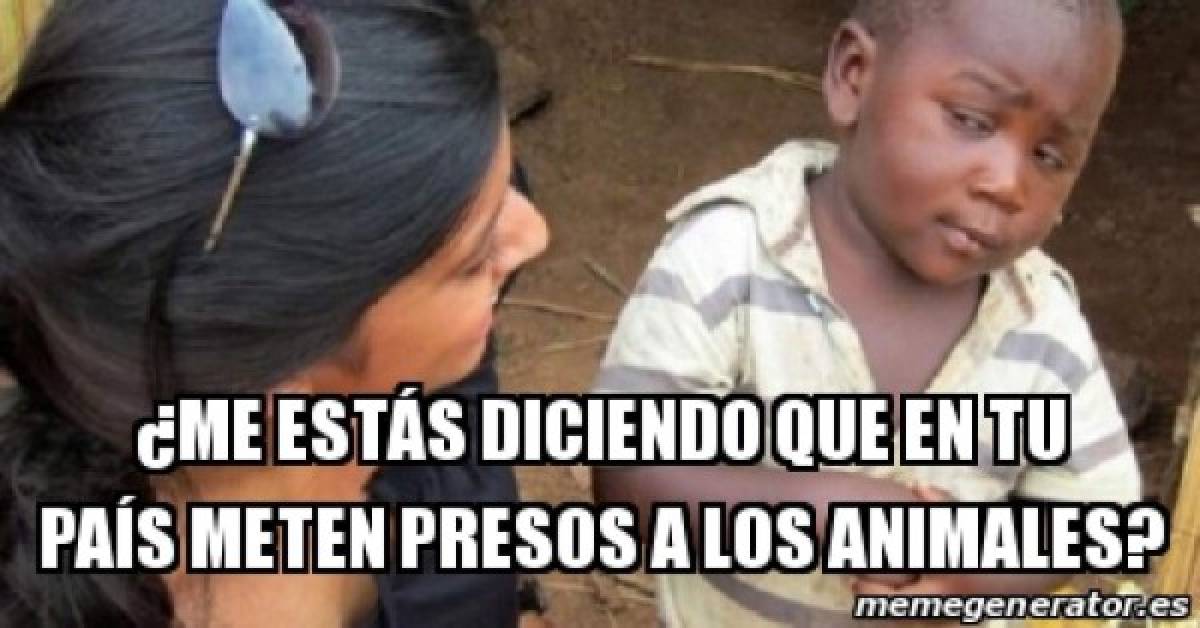 Memes: Hondureños se burlan por caso de gallo preso