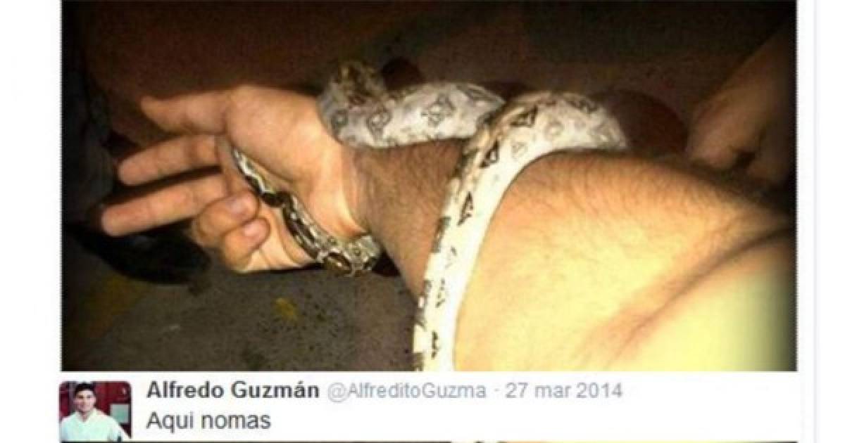 FOTOS: Mesas de dinero y hasta animales exóticos, así son los lujos del hijo de 'El Chapo' Guzmán