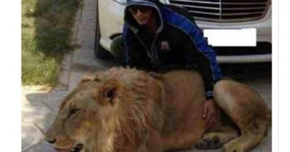 FOTOS: Mesas de dinero y hasta animales exóticos, así son los lujos del hijo de 'El Chapo' Guzmán