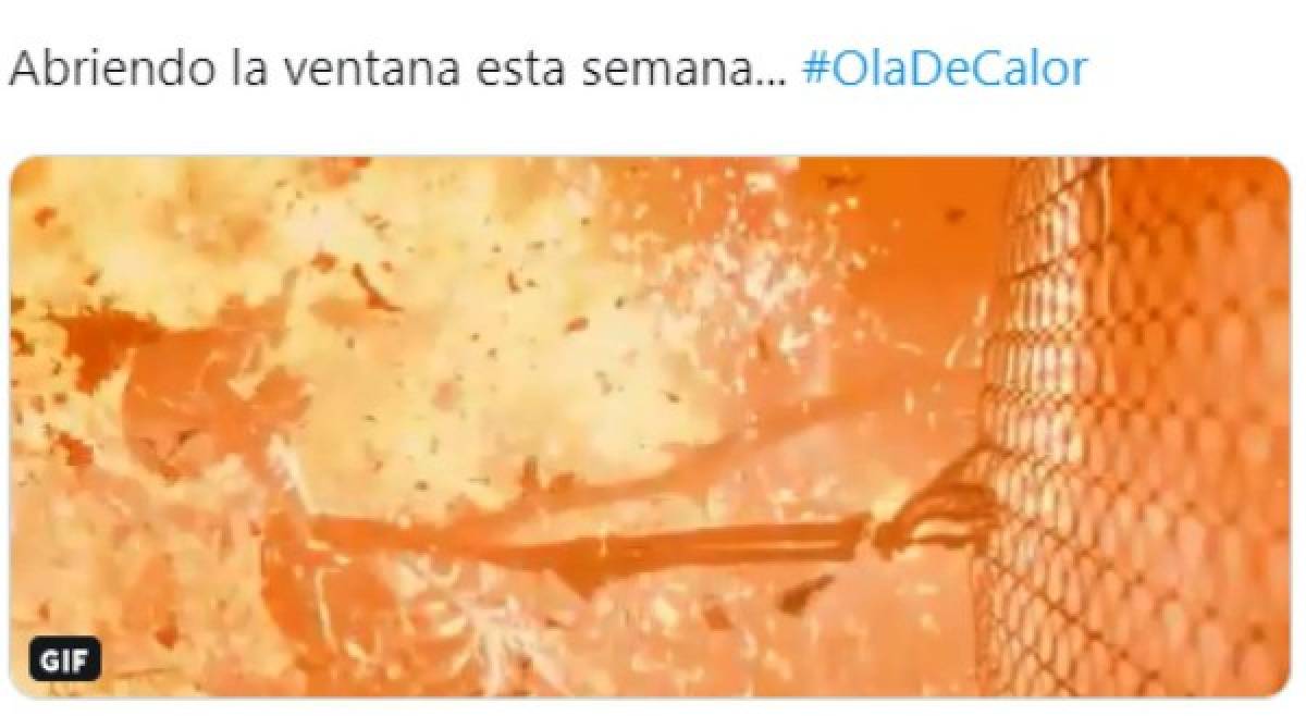 Los memes de la ola de calor en Europa: 'La semana infernal'