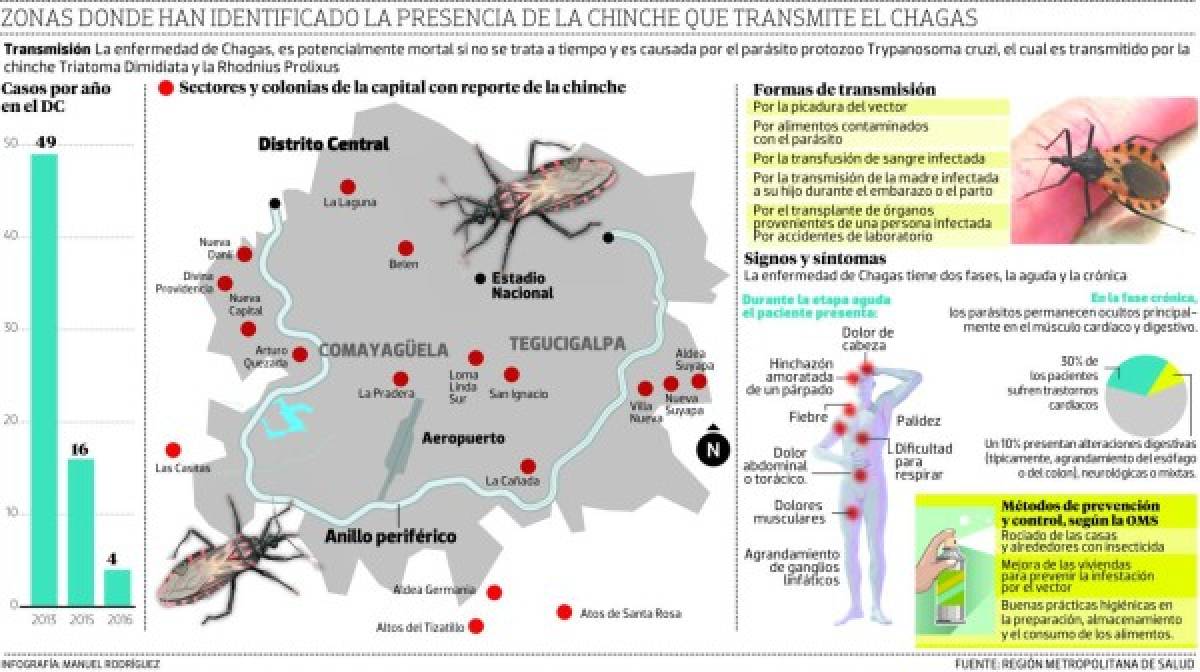 Invasión de chinches de Chagas en Tegucigalpa y Comayagüela