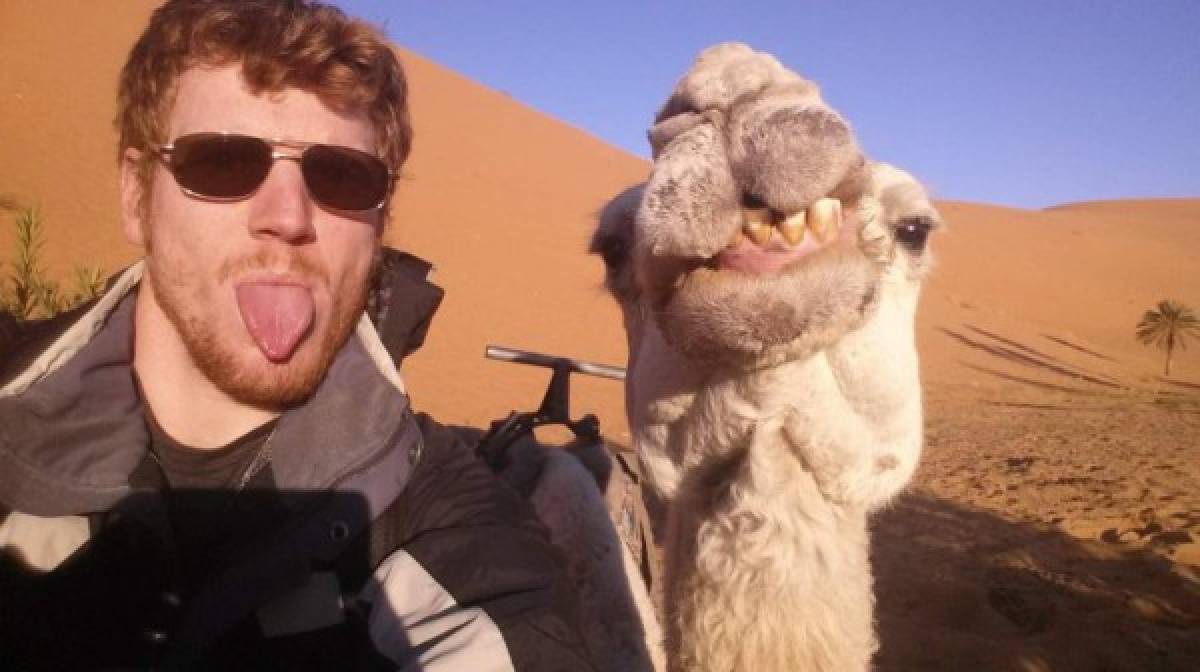 Galería: ¿Quién dice que los animales no pueden tomarse selfies?