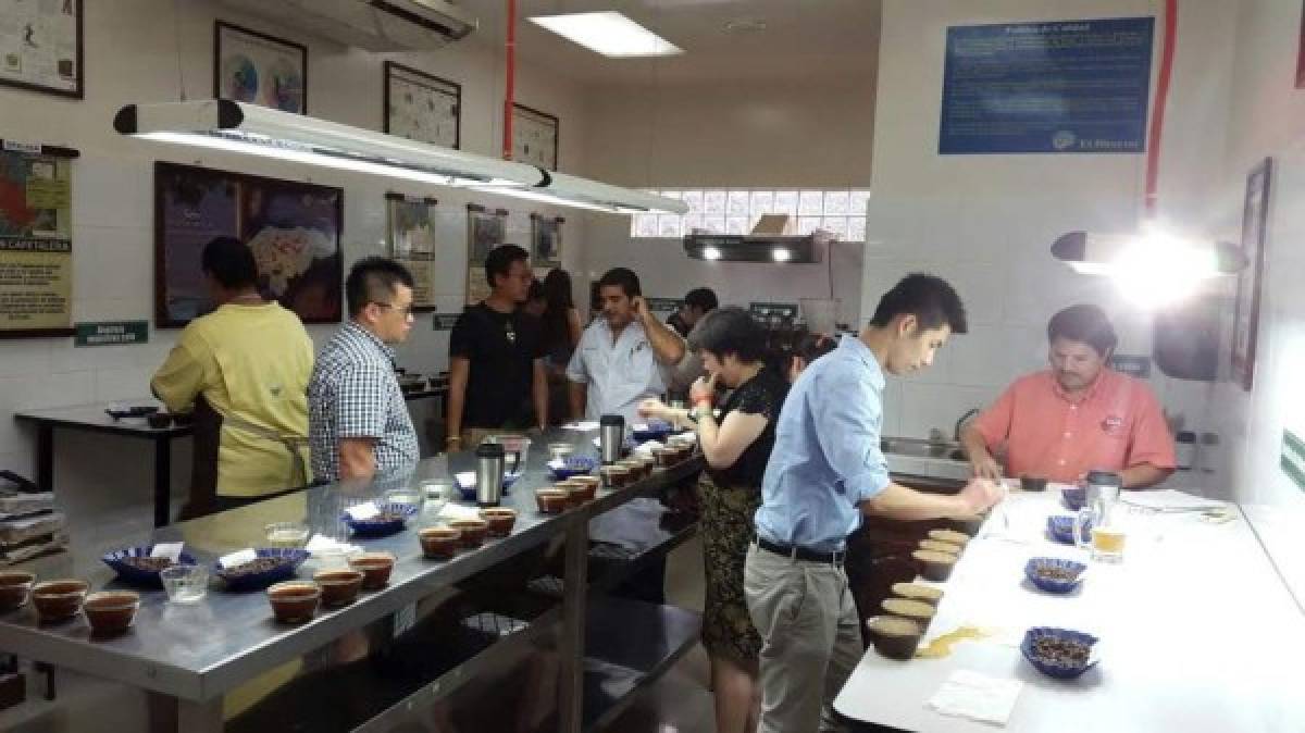 Taiwán quiere invertir en café hondureño