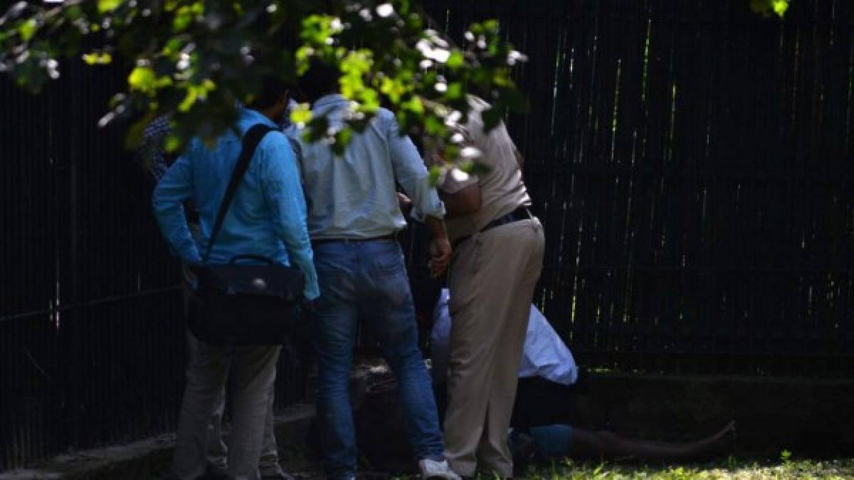 Un tigre mató a un estudiante en zoológico de Nueva Delhi