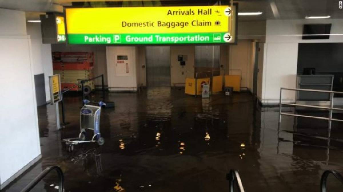 Se inunda terminal del aeropuerto JFK de Nueva York