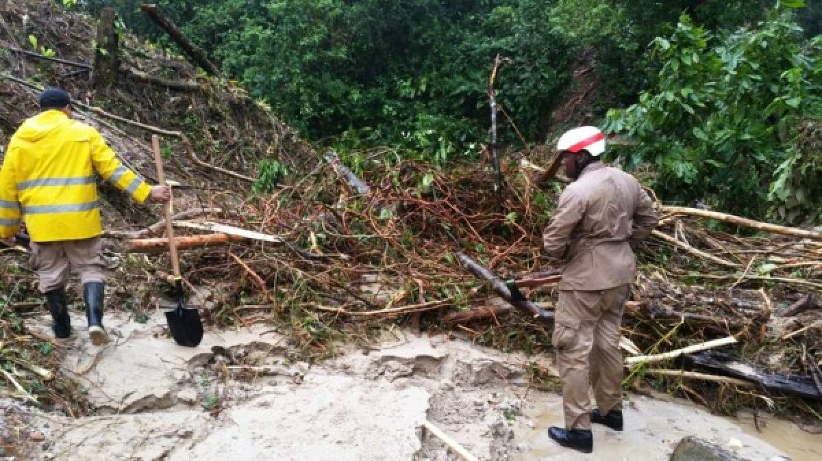 Continúa la búsqueda de dos personas desparecidas tras derrumbe en Omoa; la tragedia ya dejó tres muertos