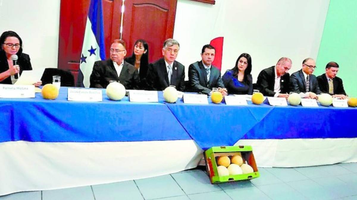 Envíos de melón a Japón dejarán cinco millones de dólares
