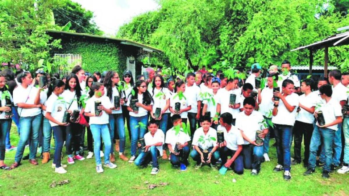 Honduras: Olanchanos se unen para reforestar 106 microcuencas