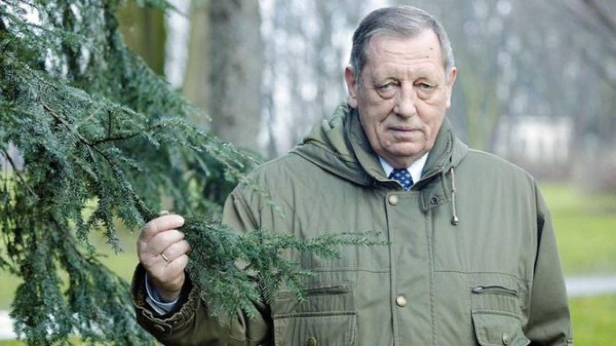 Venganza: Desconocidos talan 33 árboles de la finca del ministro de Polonia
