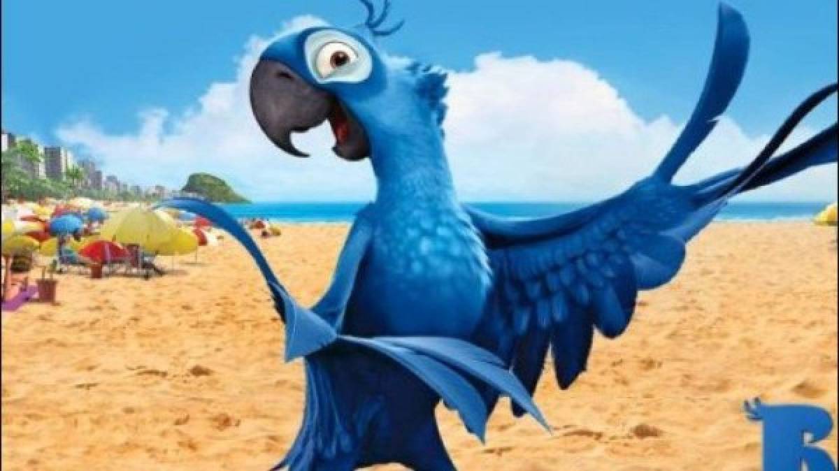 Declaran extinto al guacamayo azul que inspiró la película Río; la deforestación acabó con él