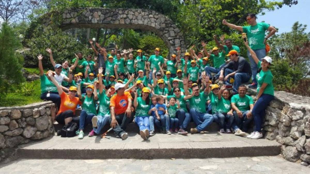 Diversos colaboradores apoyaron con la reforestación.