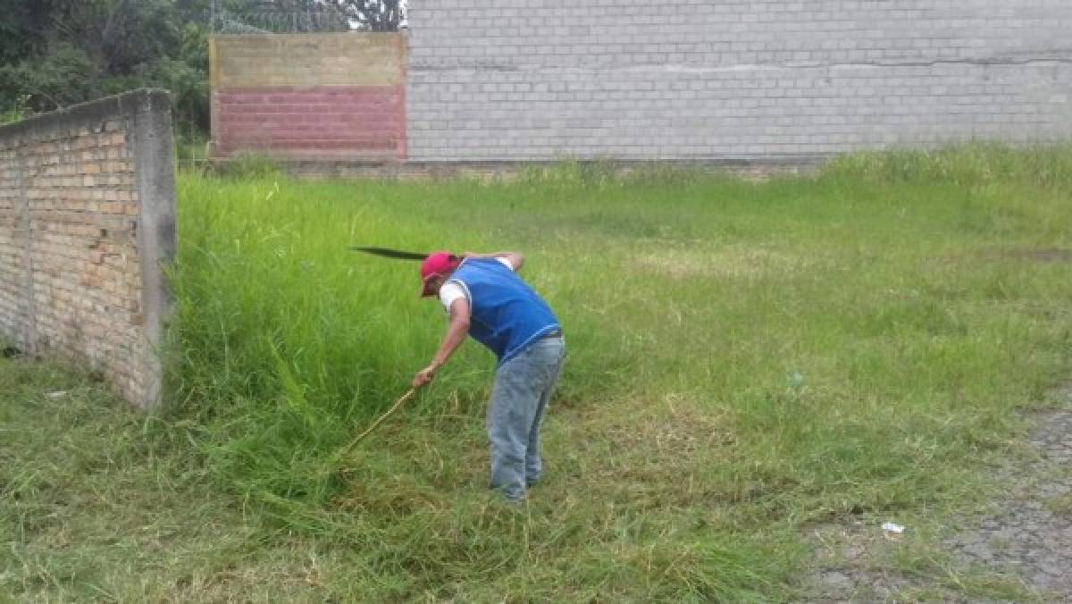 Más de 34,000 predios baldíos ha identificado la comuna en la capital