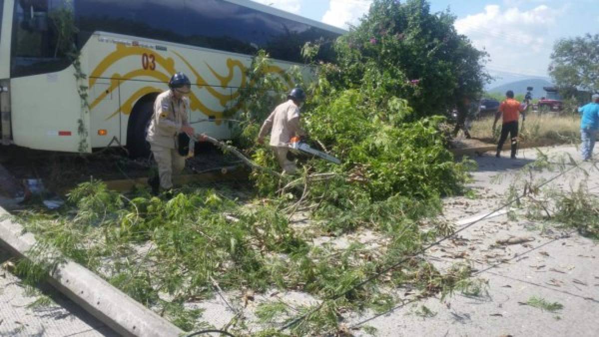 Tres heridos deja choque entre bus y vehículo de la UNAH-VS en la carretera CA-13