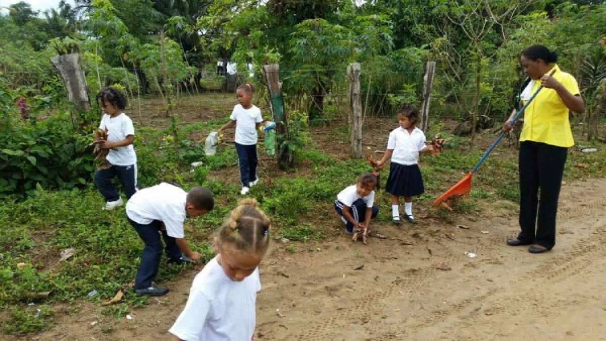 Inician operativos para combatir virus del zika