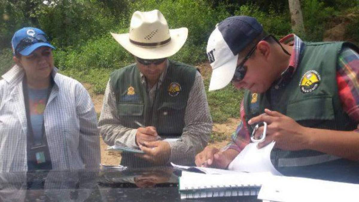 Honduras: Intervienen alcaldías de Nueva Frontera y Macuelizo en Santa Bárbara