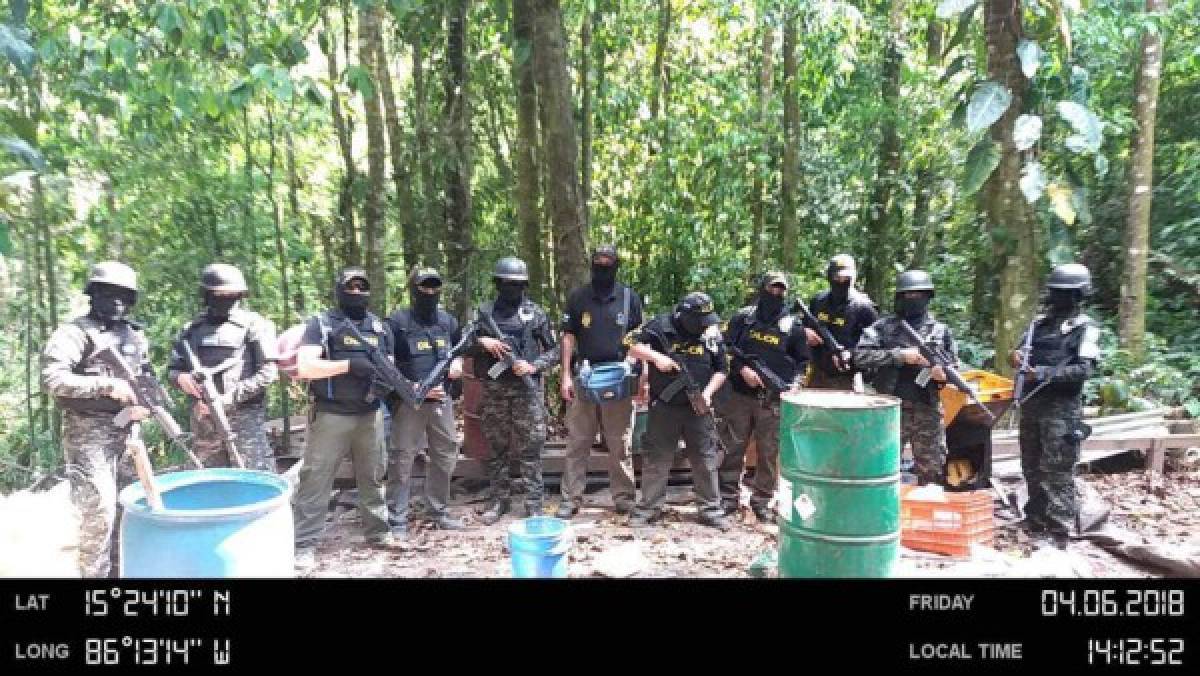 Honduras localiza y destruye 40 manzanas de plantación de coca en Olancho