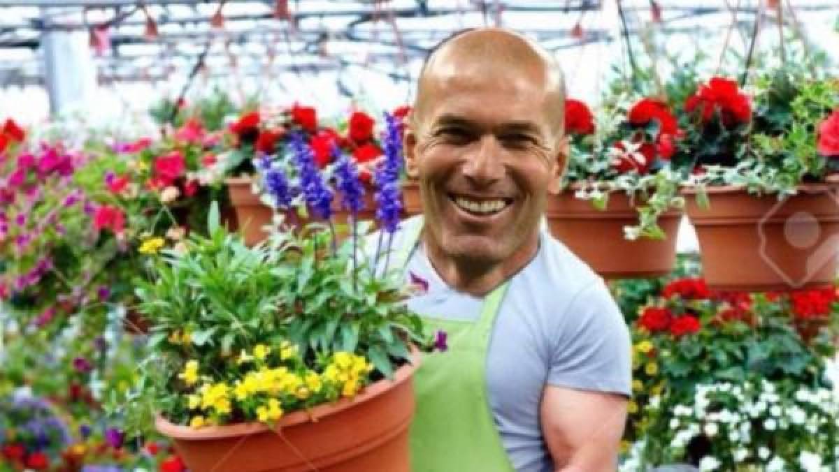 Los memes tras la salida de Zinedine Zidane del Real Madrid