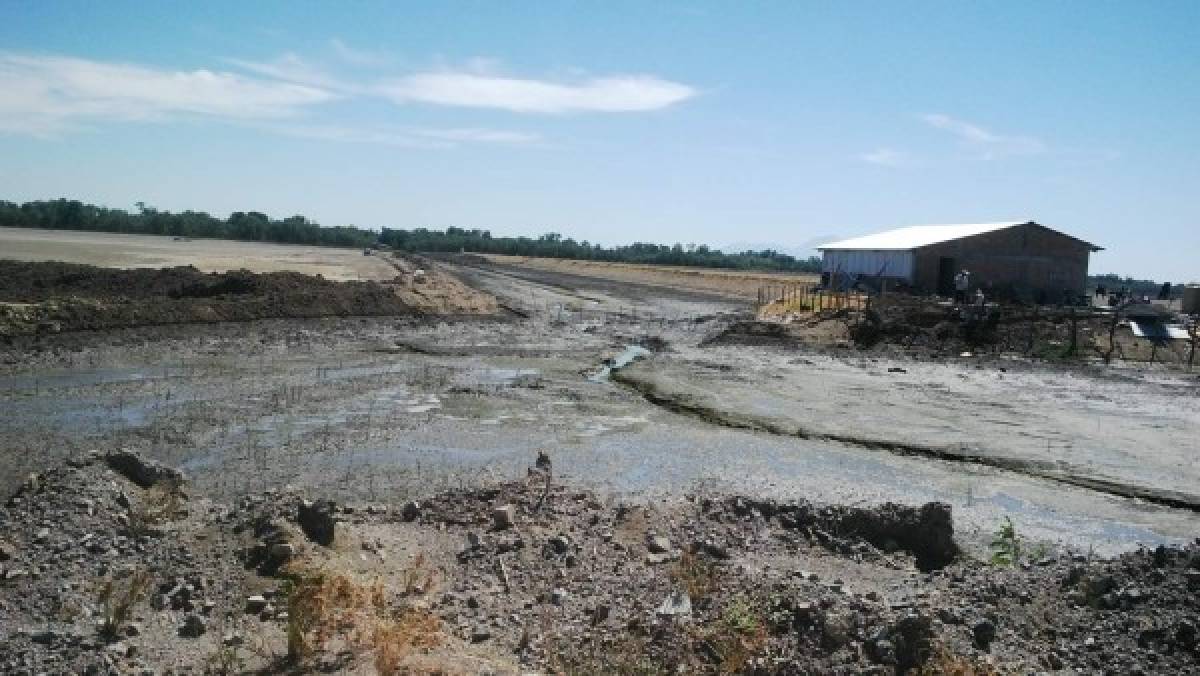 Se amplía área de cultivo de camarón