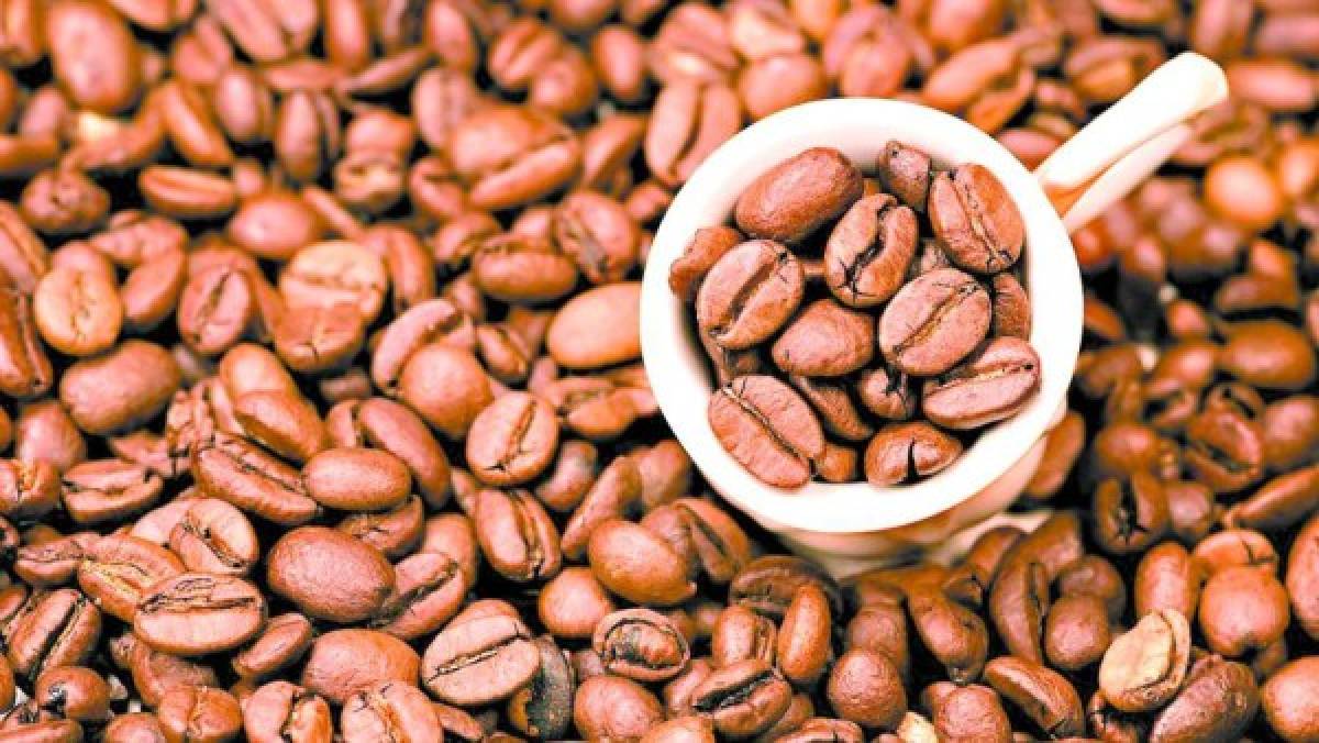 Exportación de café ha caído $ 164 millones