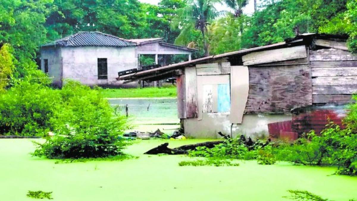 Desbordamiento de ríos mantiene bajo alerta cinco municipios del sur de Honduras