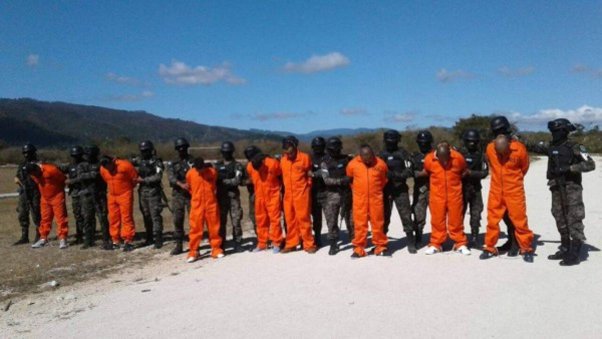 Estos son los 15 nuevos inquilinos de El Pozo en Ilama, Santa Bárbara