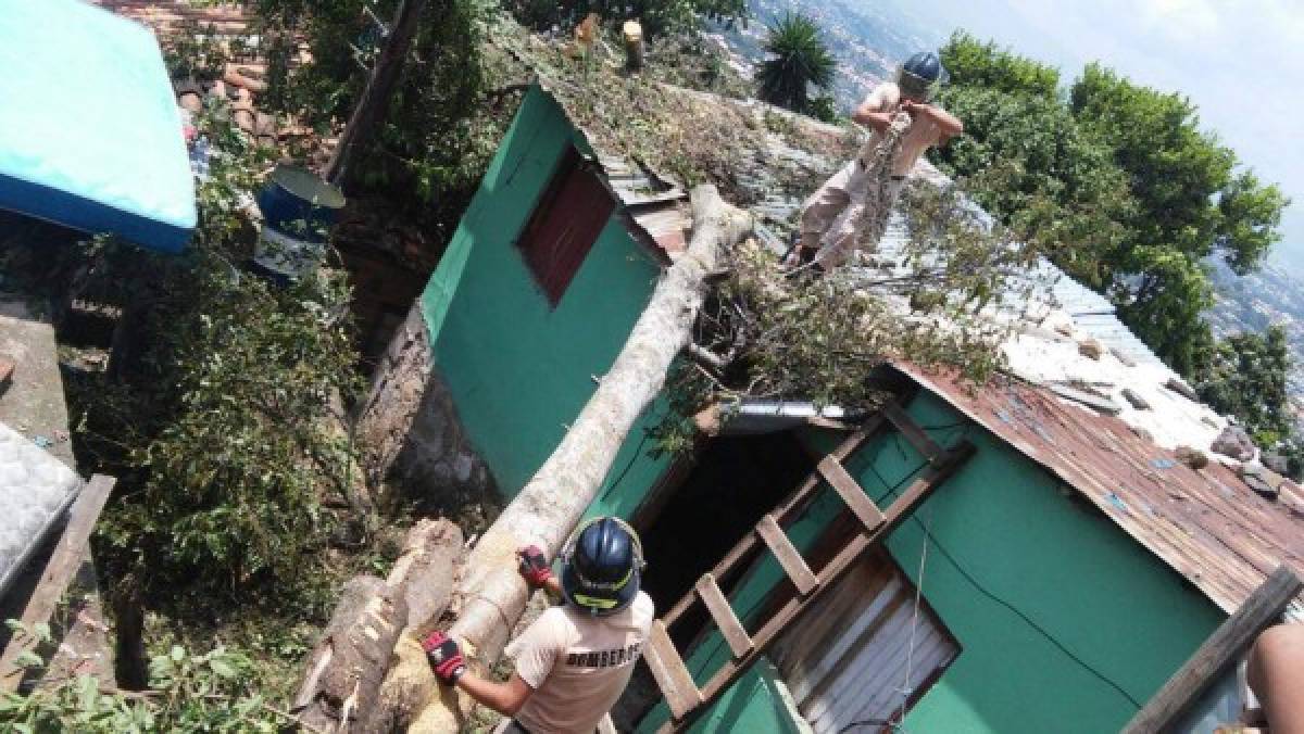 Tras tormenta varias casas peligran ser arrastradas en col. 15 de septiembre