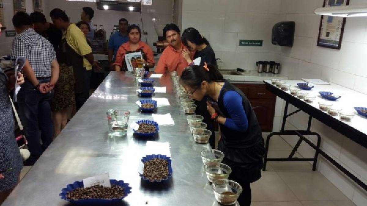 Empresarios de Taiwán quieren invertir en café hondureño