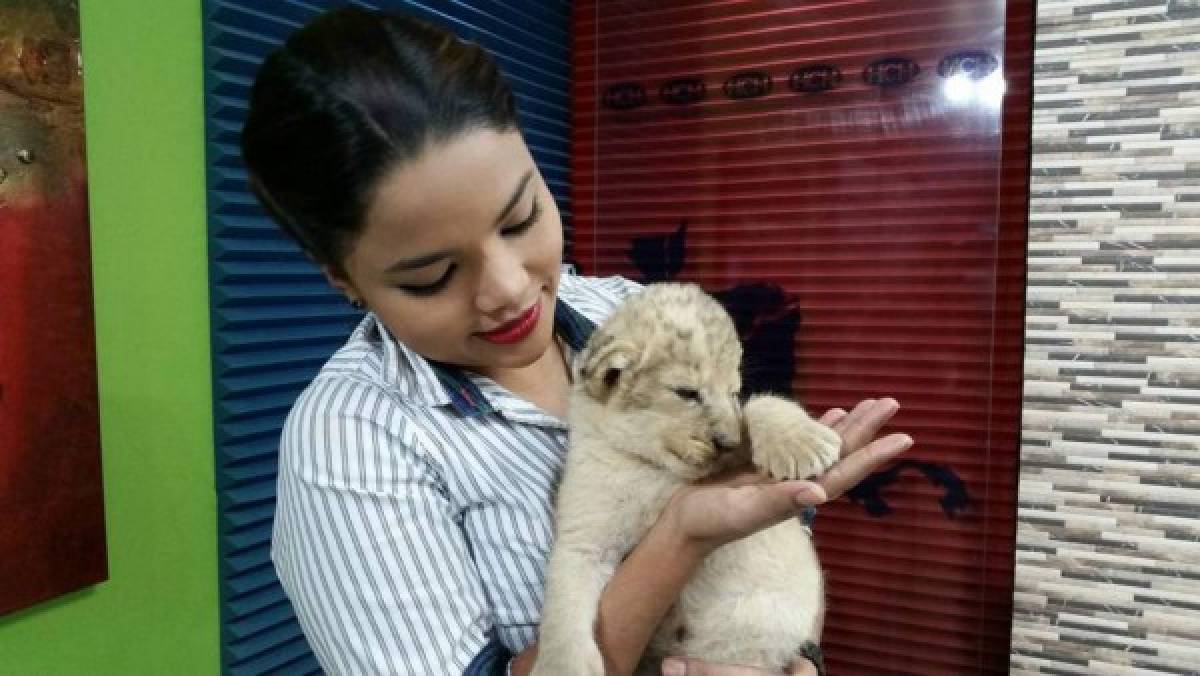 La foto de Ariela Cáceres de la que muchos están hablando