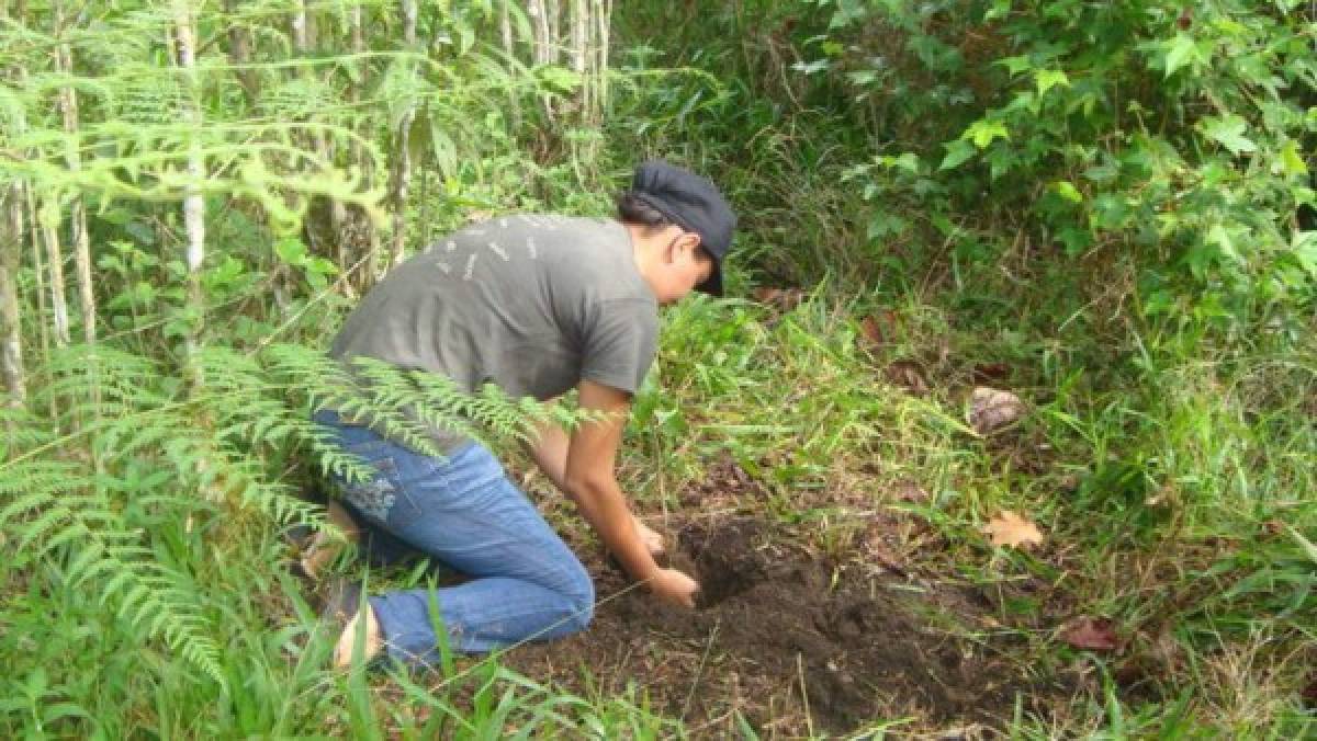 La alfabetización tendrá más apertura en el campo