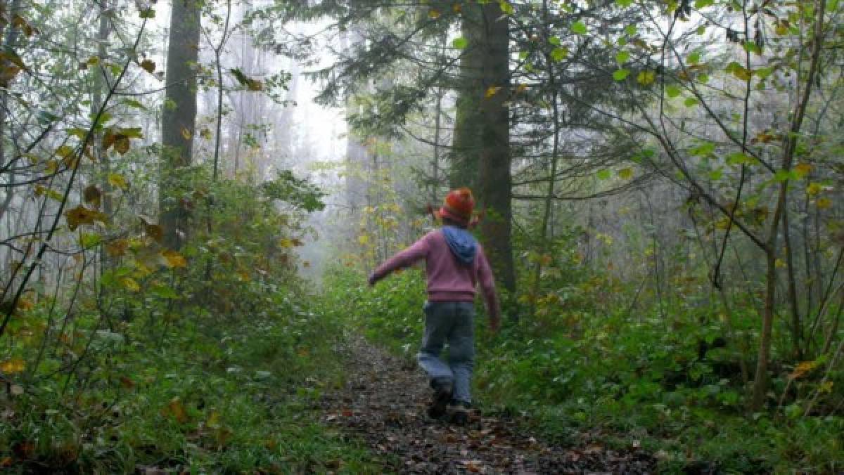 Niño se pierde en bosque de Japón luego de un insólito castigo de sus padres