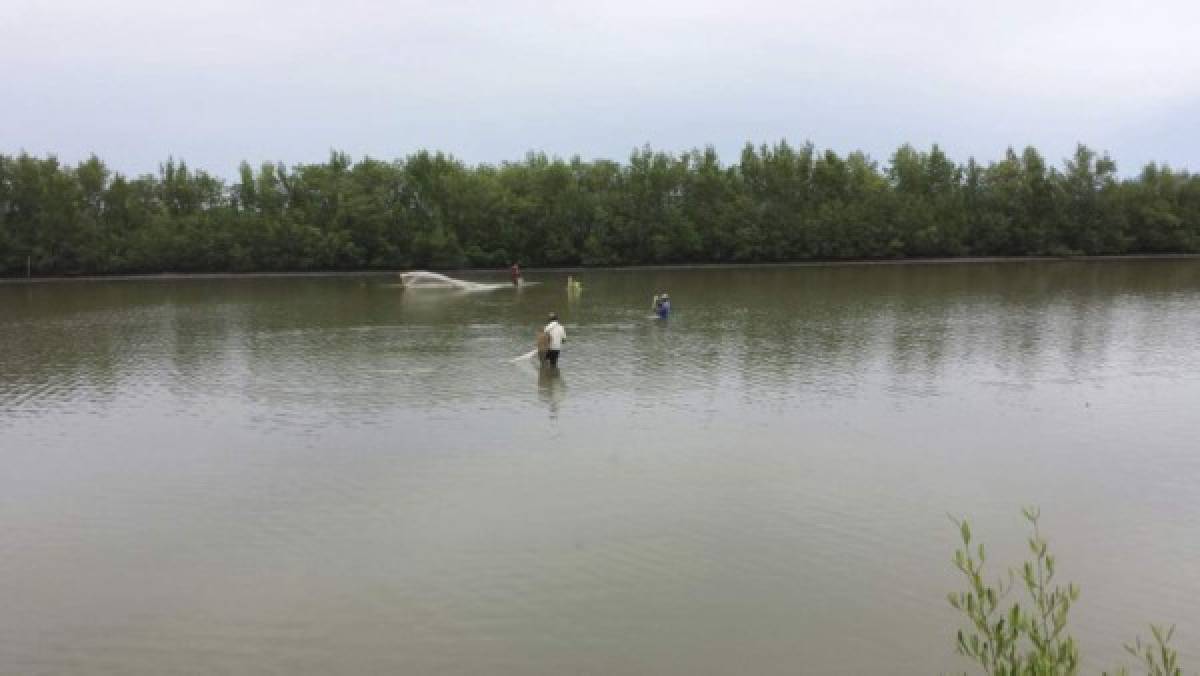 Productores hondureños retienen agua para sistemas de riego