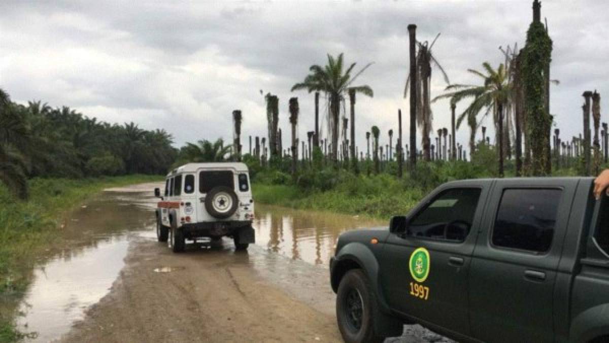 Copeco anuncia 60 horas de bajas temperaturas en Honduras