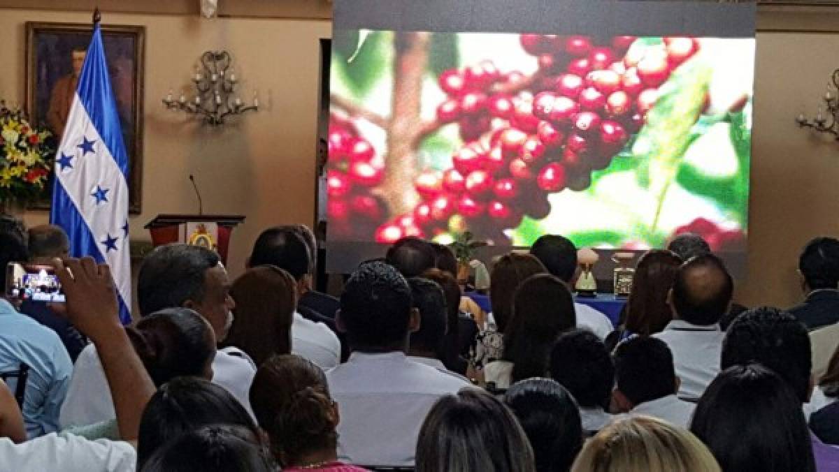 Presidente Hernández participa en lanzamiento de Ruta del Café