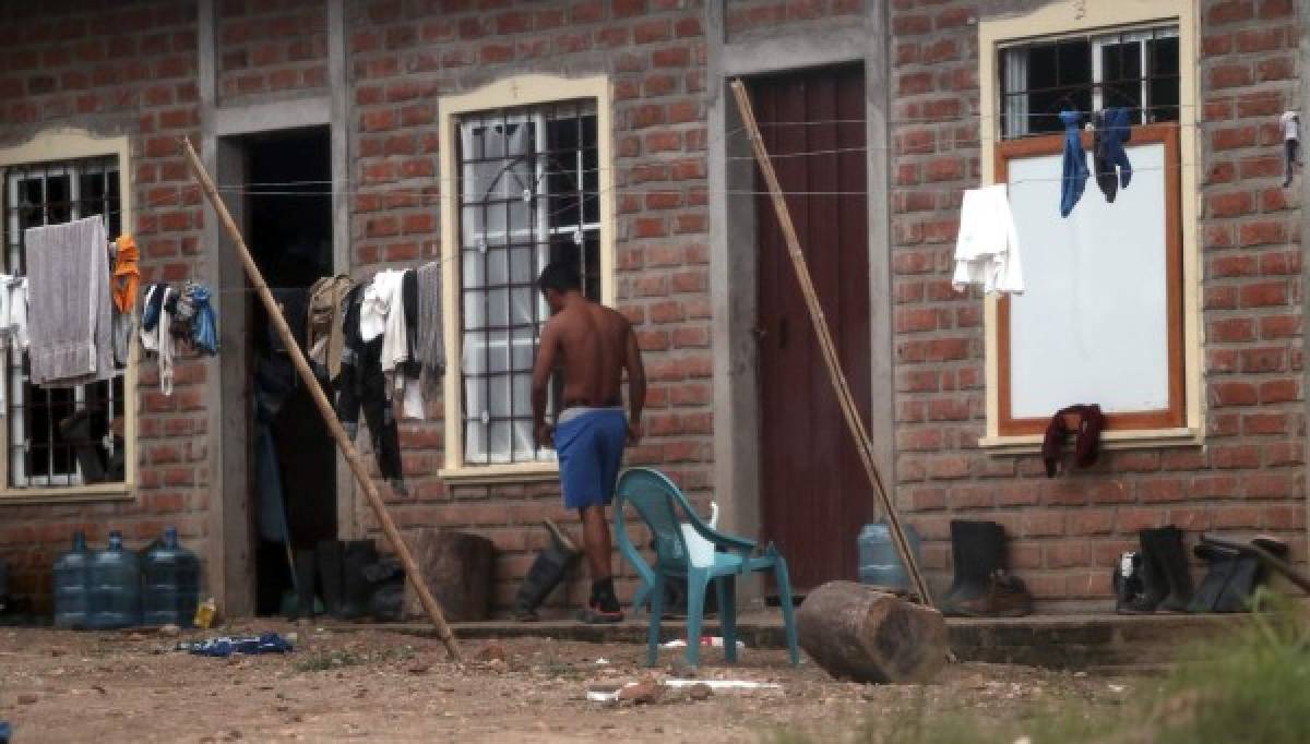 Entre familias se reparten los contratos de alquileres de la UNA