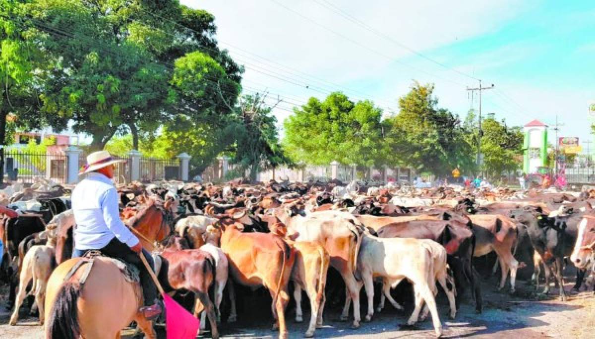 Al menos 7 mil empleos en riesgo por invasión de tierras en el sur