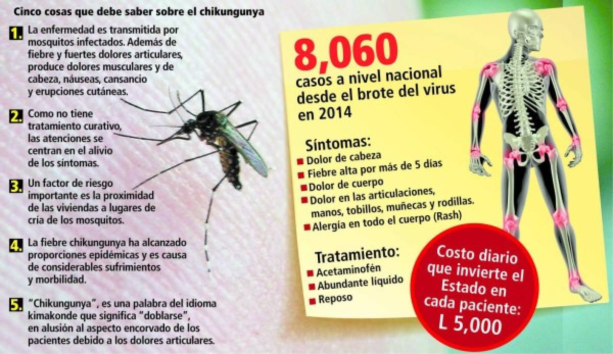 Honduras: Más de 90 millones le cuesta al Estado tratar chikungunya