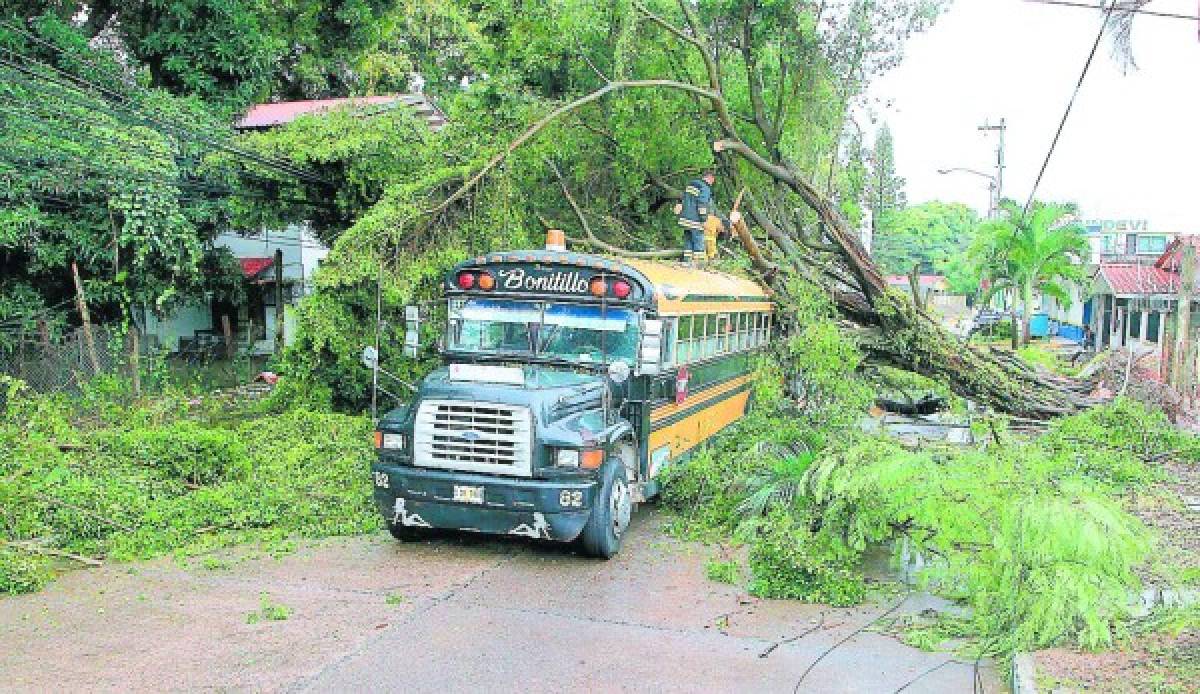 Honduras: Muerte y destrucción por aguaceros que azotan la costa norte