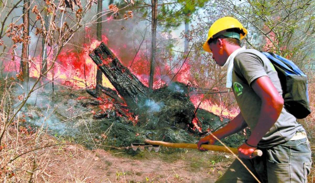 Honduras: Devastador incendio en sector de Carpintero